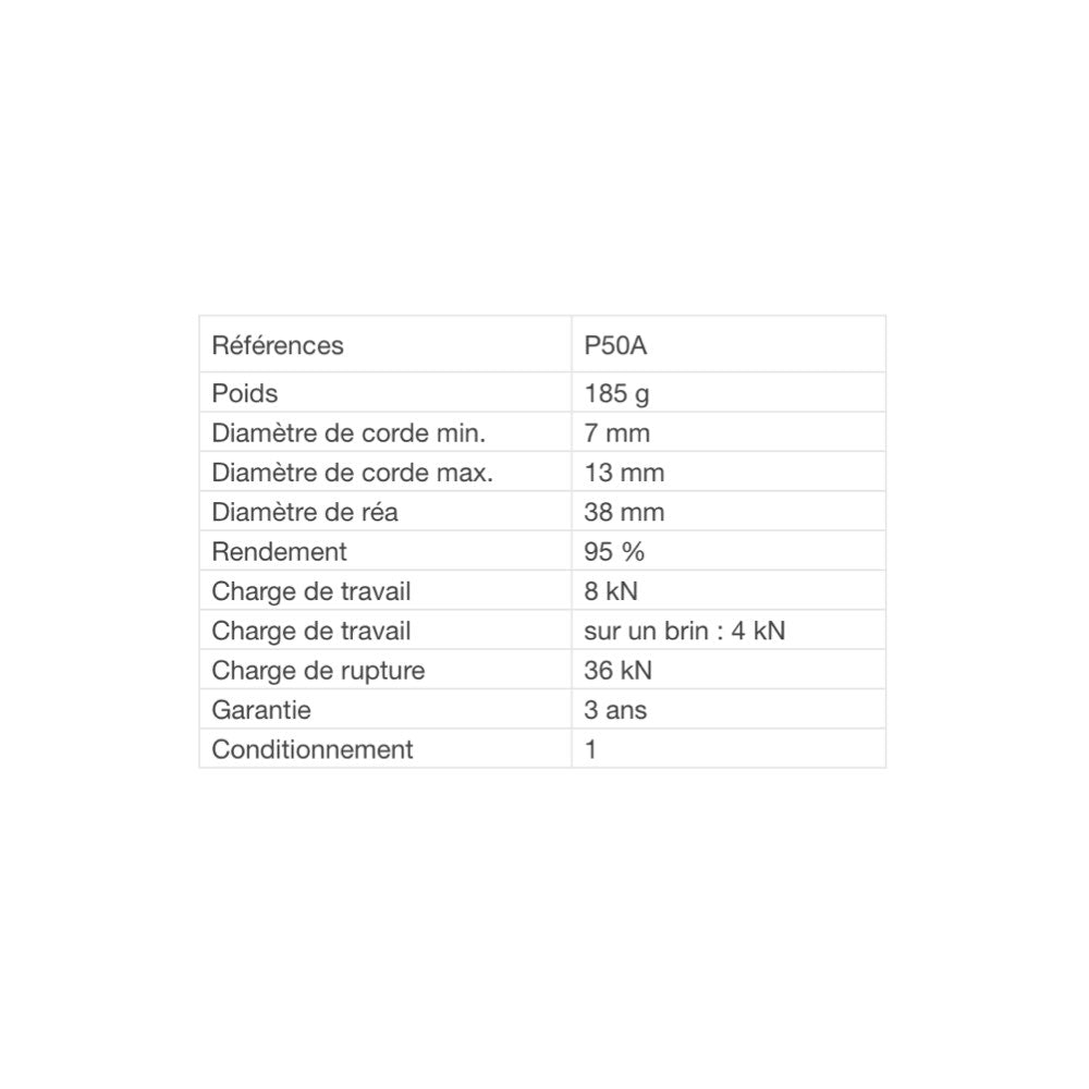 Poulie RESCUE de Petzl