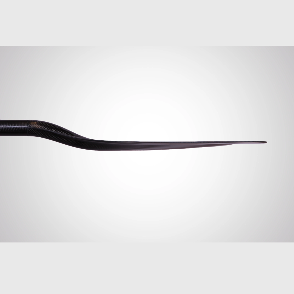 Pagaie Covert une pièce manche droit de Werner