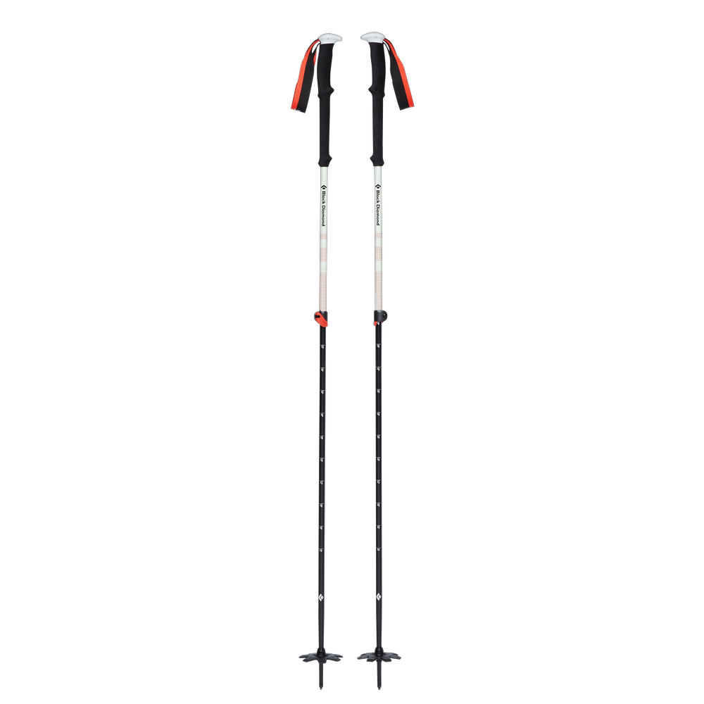 Bâtons Expedition 2 Ski Poles de Black Diamond