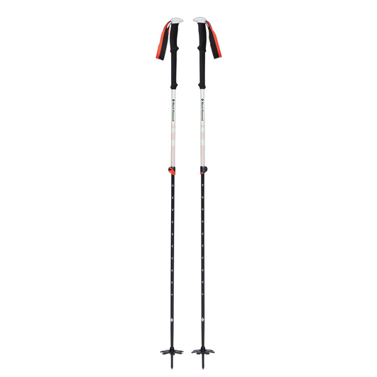 Bâtons Expedition 2 Ski Poles de Black Diamond