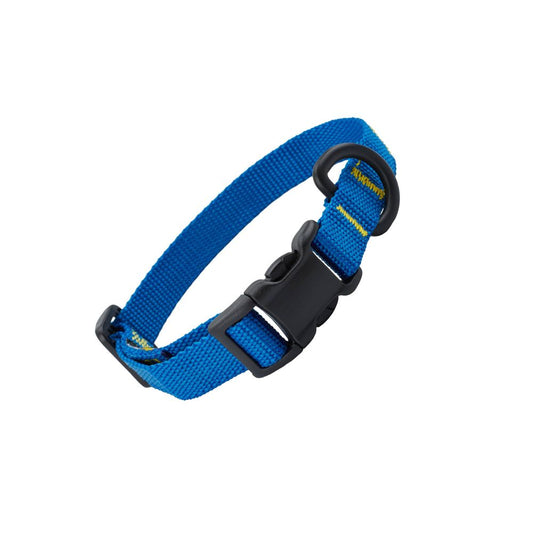 Colier pour chien de NRS - 2024