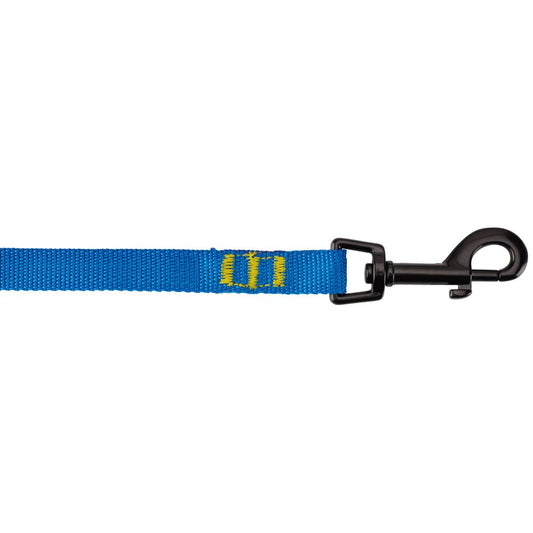 Laisse pour chien de NRS - 2024