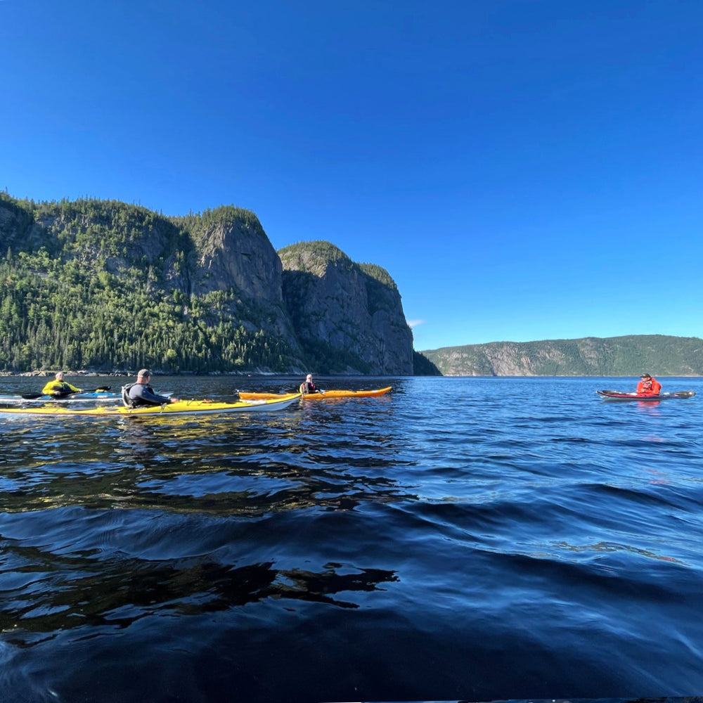 Stage Niveau 2 kayak de mer / 4 JOURS AU SAGUENAY - SAISON 2025