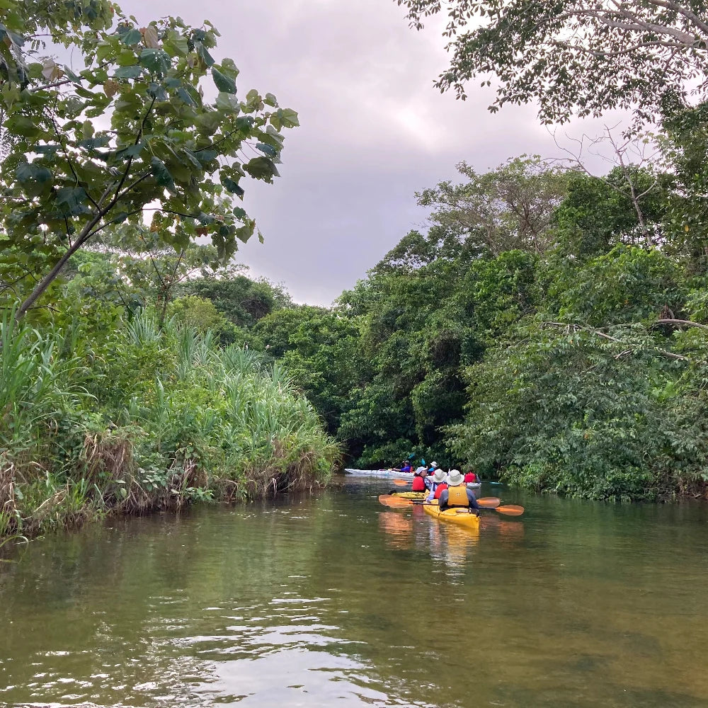 Le Panama en kayak de mer avec Instincts Vagabonds - Pagaie Québec