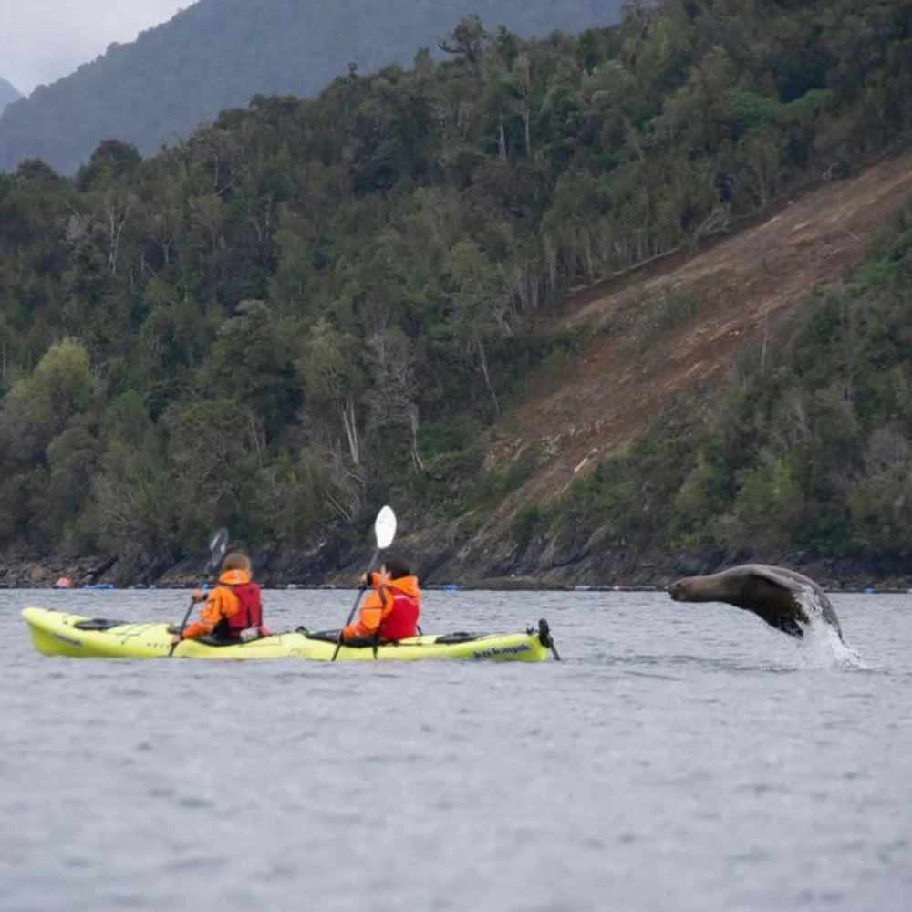 La Patagonie en kayak de mer avec Instincts Vagabonds - Pagaie Québec