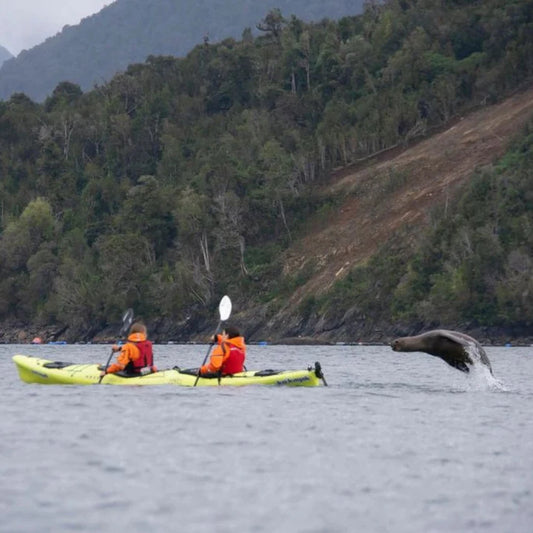 La Patagonie en kayak de mer avec Instincts Vagabonds