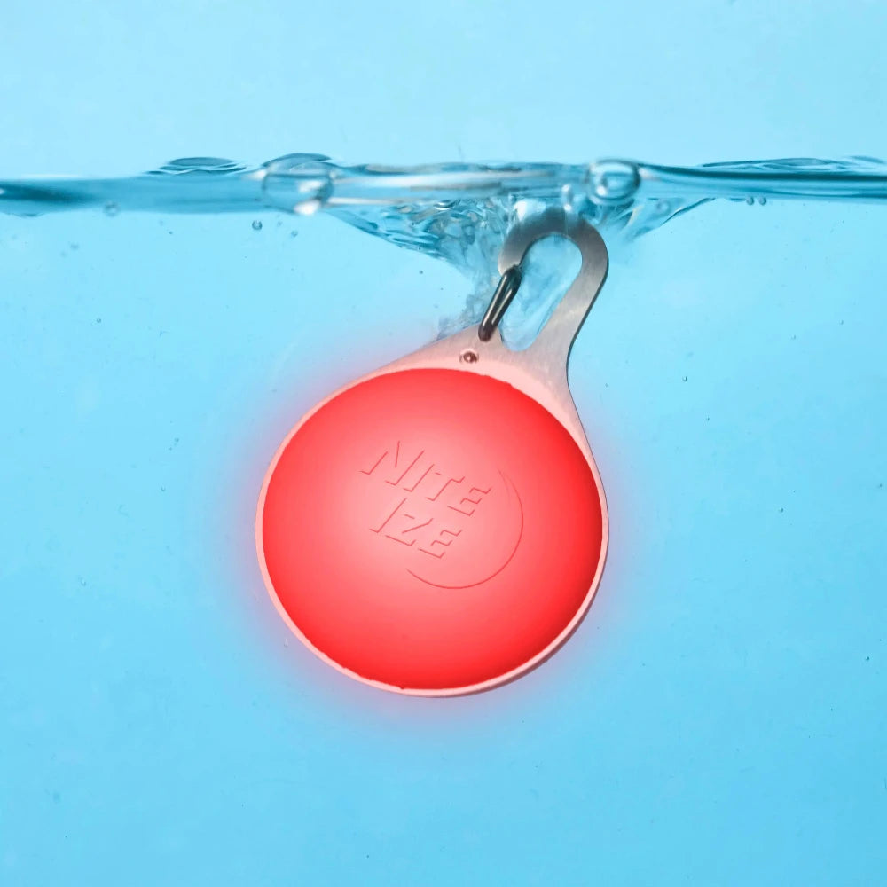 Lumière SpotLit Splash étanche Disc-O Tech rechargeable de Nite Ize