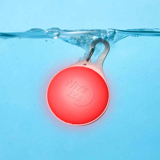 Lumière SpotLit Splash étanche Disc-O Tech rechargeable de Nite Ize